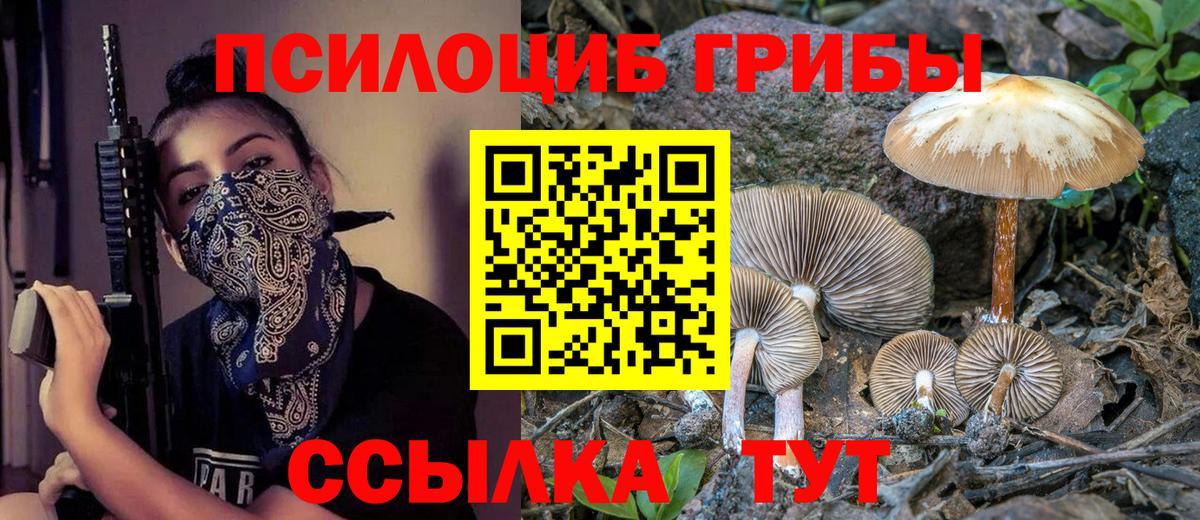 Псилоцибиновые грибы прущие грибы  Галлюциногенные грибы Magic Shrooms  Вход с VPN  Ивантеевка 